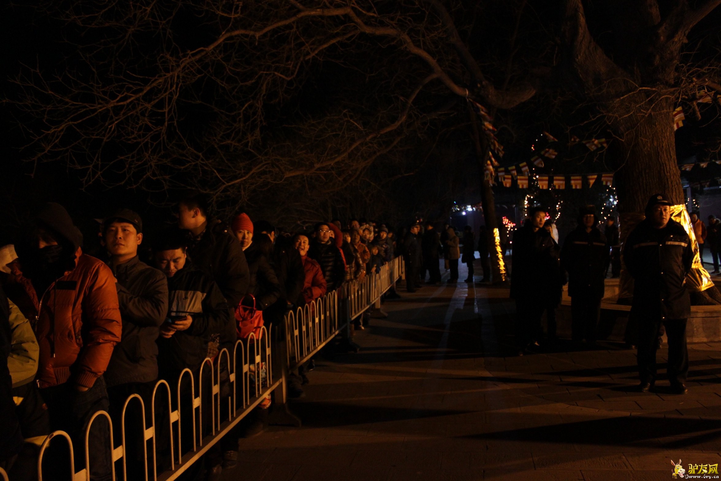 �Ŷ�����